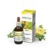 Natur Tanya E. FitoTree Baktériumölő fertőtlenítő - 30 ml