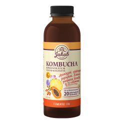   Kombucha tea koncentrátum ananásszal, csipkebogyóval, papayával, echinacea purpurea kivonattal és c-vitaminnal 500 ml