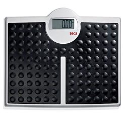 Mérleg digitális nagyteherbirású100g/200 kg SECA 813