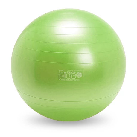 Image of Gymnic Plus Gimnasztikai torna és ülőlabda 55 cm zöld