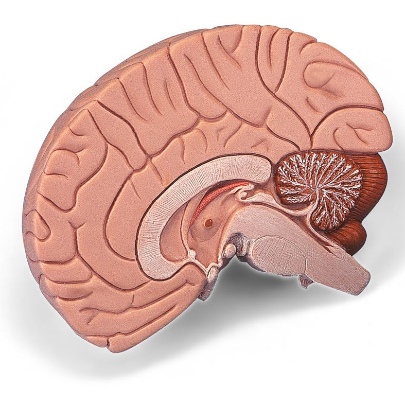 Image of Agy mulage 2 részes